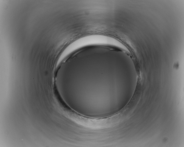 X0000091930027200709051511