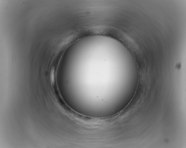 X0000091930028200709051511