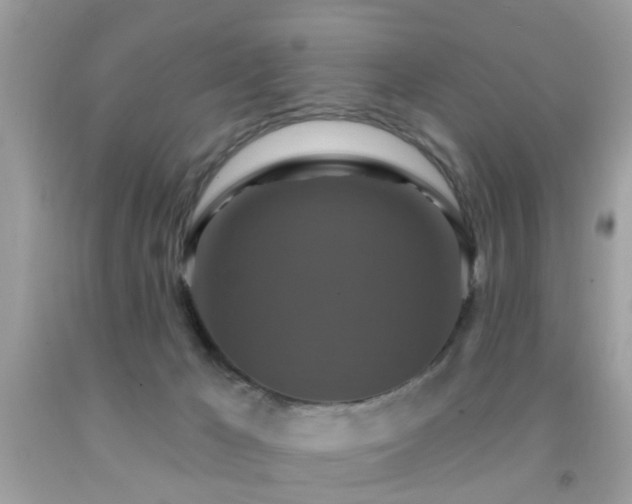 X0000091930029200709051511