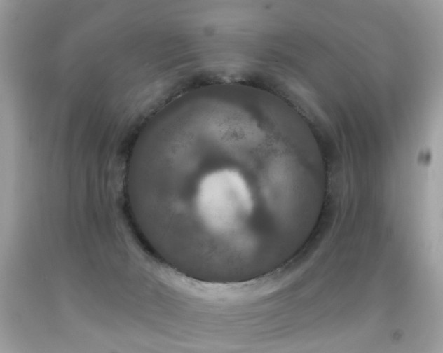 X0000091930030200709051511