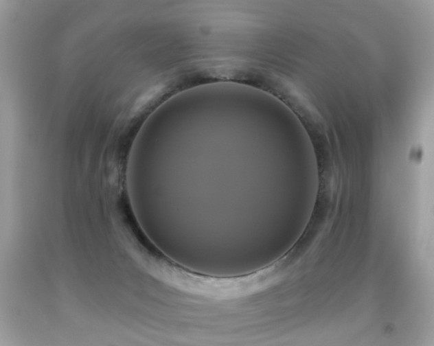 X0000091930031200709051511
