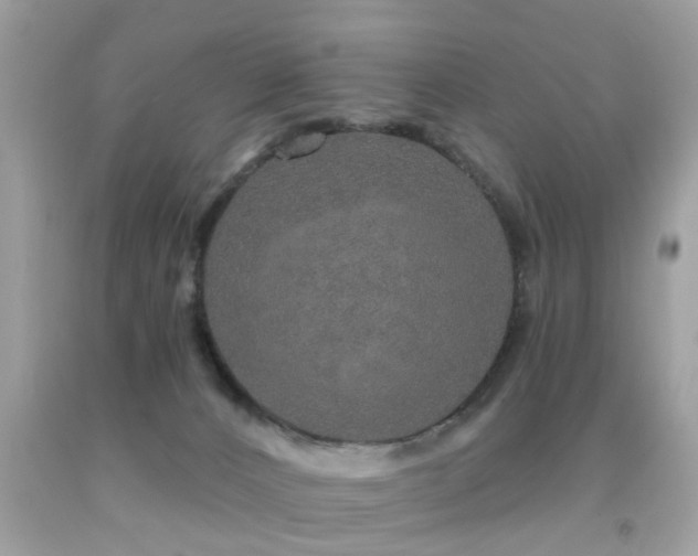 X0000091930032200709051511