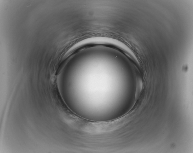 X0000091930033200709051511