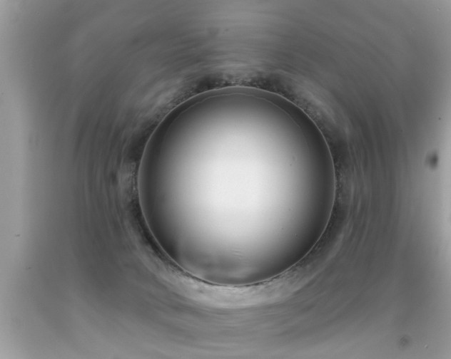 X0000091930034200709051511
