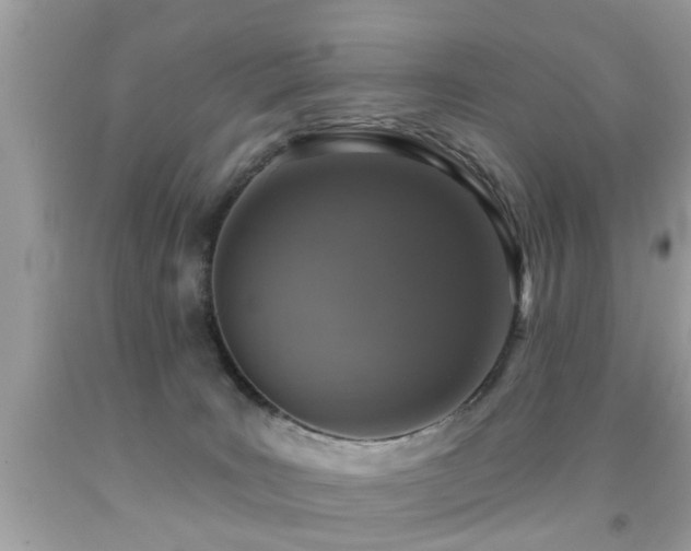 X0000091930035200709051511