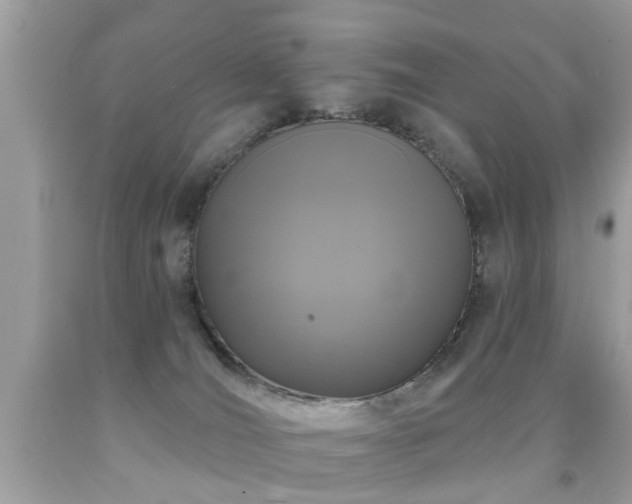 X0000091930036200709051511