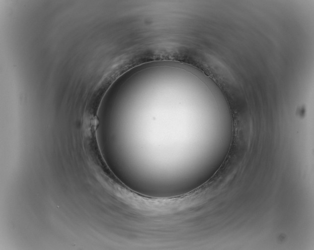 X0000091930038200709051511