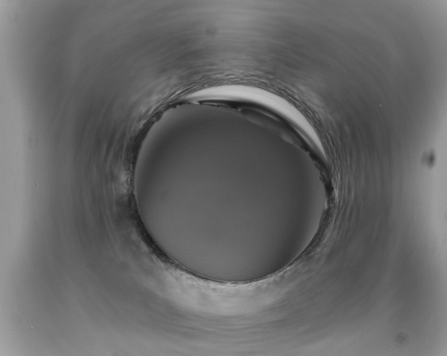 X0000091930039200709051511