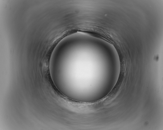 X0000091930040200709051511