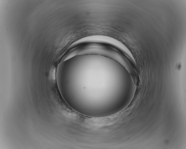 X0000091930041200709051511
