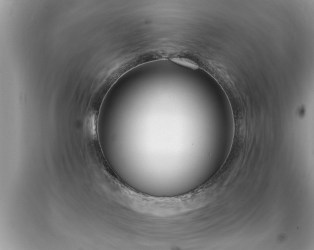 X0000091930042200709051511