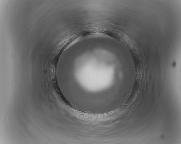 X0000091930043200709051511