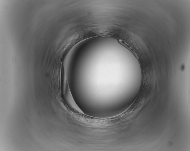 X0000091930044200709051511