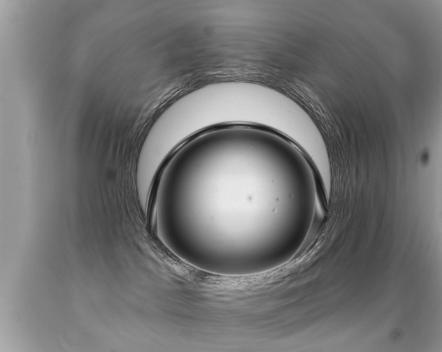 X0000091930045200709051511