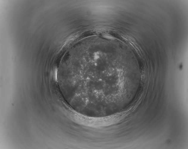 X0000091930046200709051511