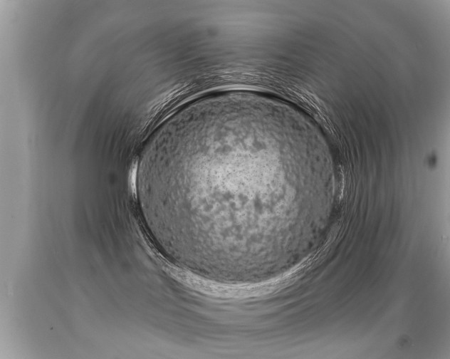 X0000091930047200709051511