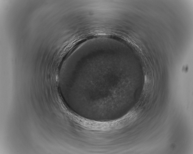 X0000091930048200709051511