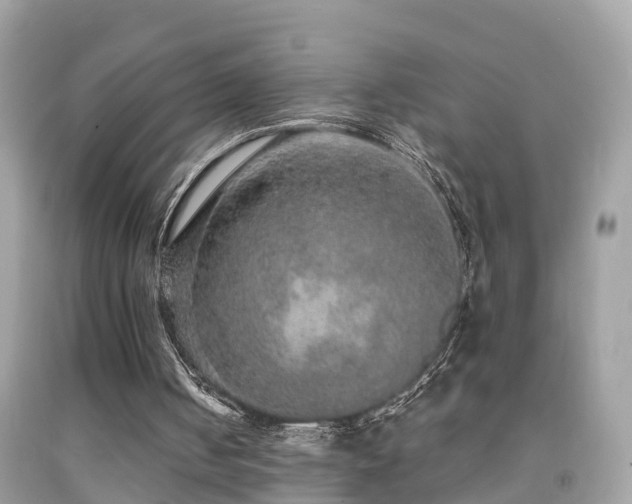 X0000091930050200709051510