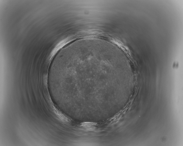 X0000091930051200709051510