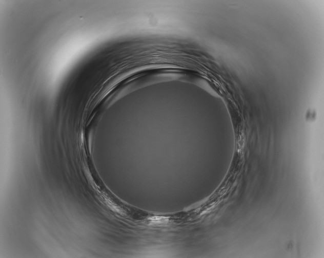 X0000091930052200709051510