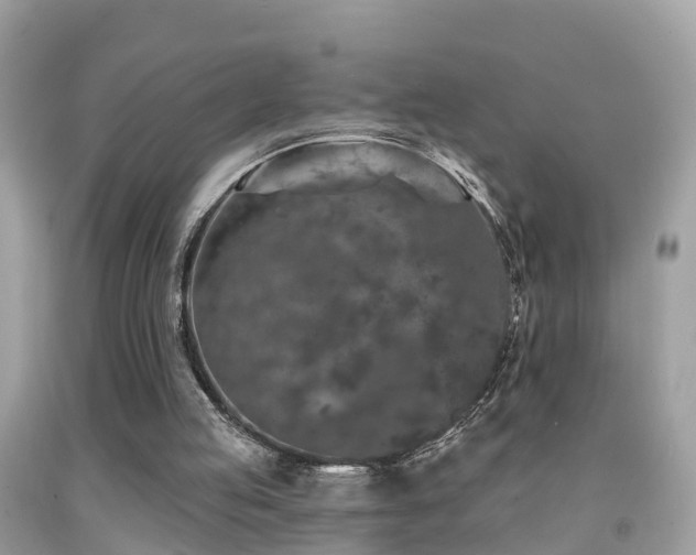 X0000091930053200709051510