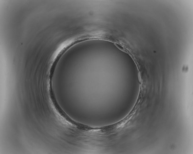 X0000091930054200709051510