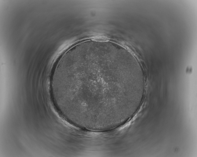 X0000091930055200709051510