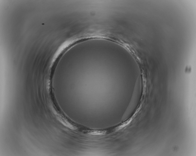 X0000091930056200709051510