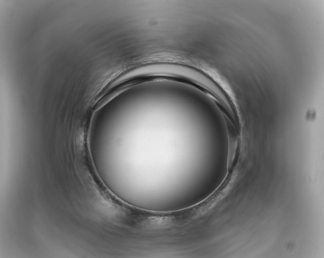X0000091930057200709051510