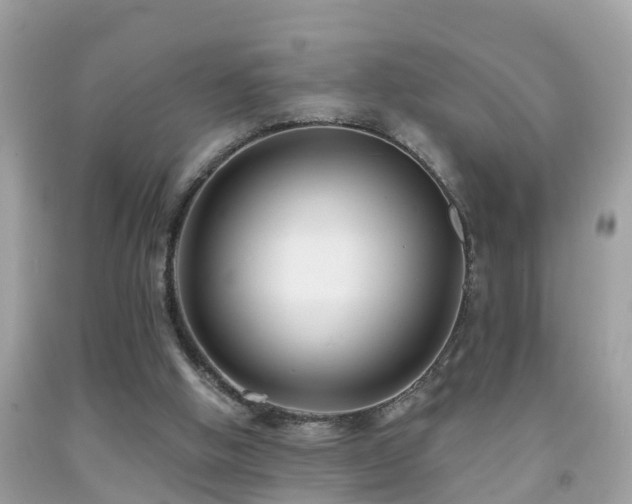 X0000091930058200709051510