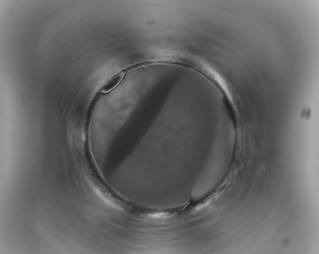 X0000091930059200709051510