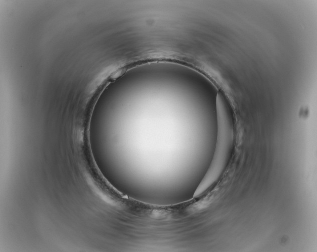 X0000091930060200709051510