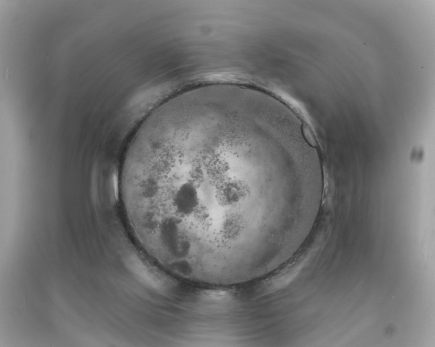 X0000091930061200709051510