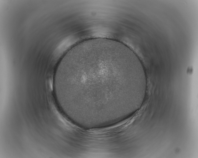 X0000091930062200709051510