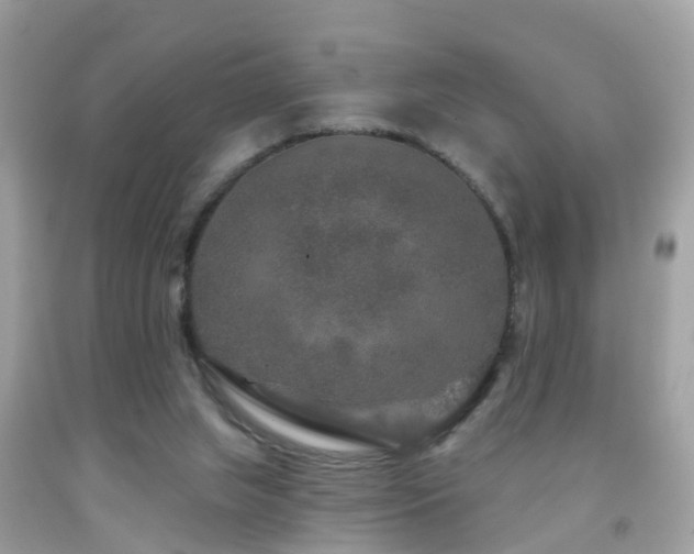 X0000091930063200709051510