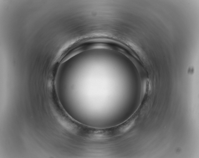 X0000091930064200709051510
