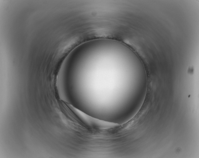 X0000091930066200709051510