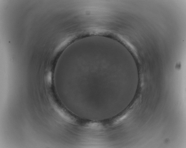 X0000091930067200709051510