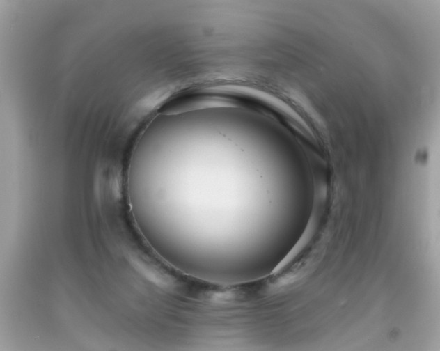 X0000091930068200709051510