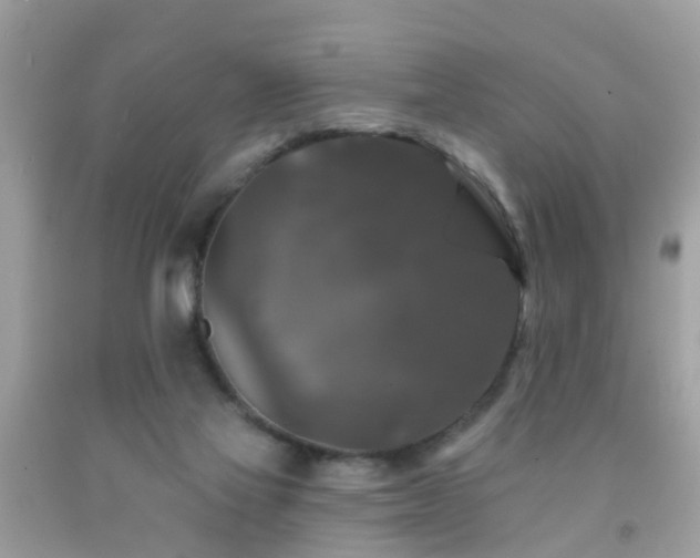 X0000091930069200709051510