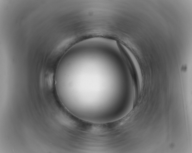 X0000091930070200709051510