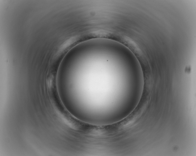 X0000091930071200709051510