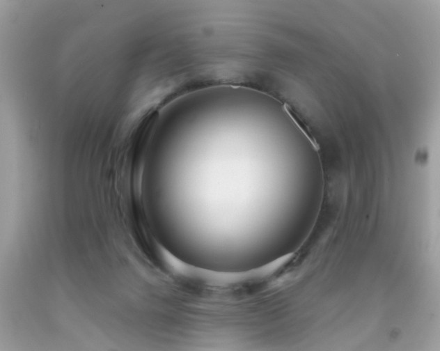 X0000091930072200709051510