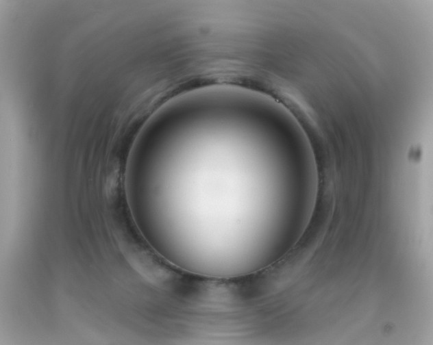 X0000091930073200709051510