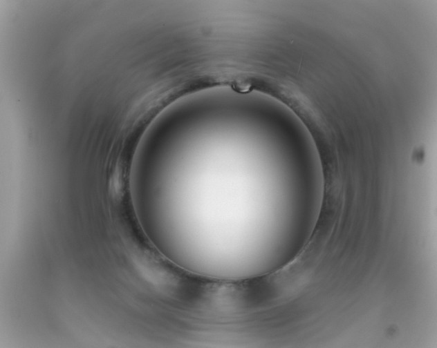 X0000091930074200709051510