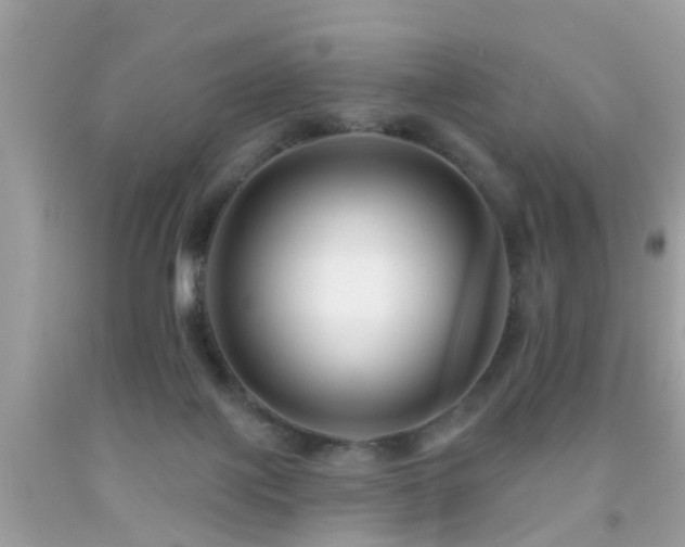 X0000091930075200709051510