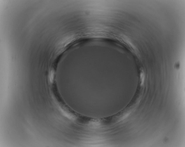 X0000091930076200709051510