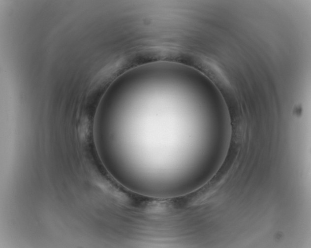 X0000091930077200709051510