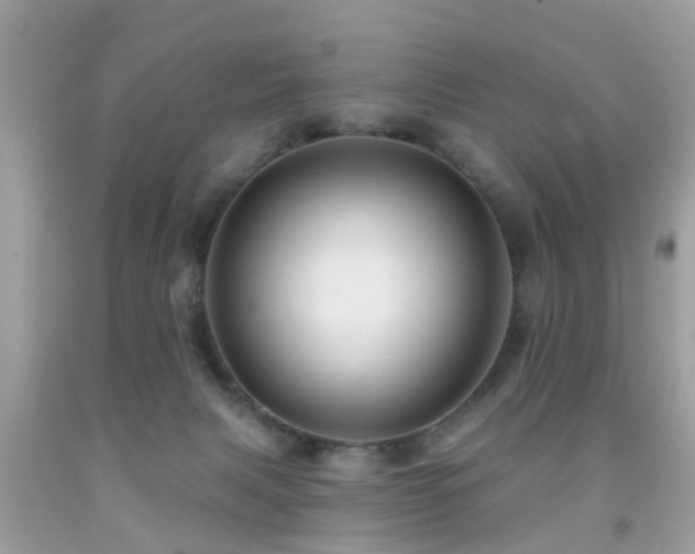 X0000091930079200709051510