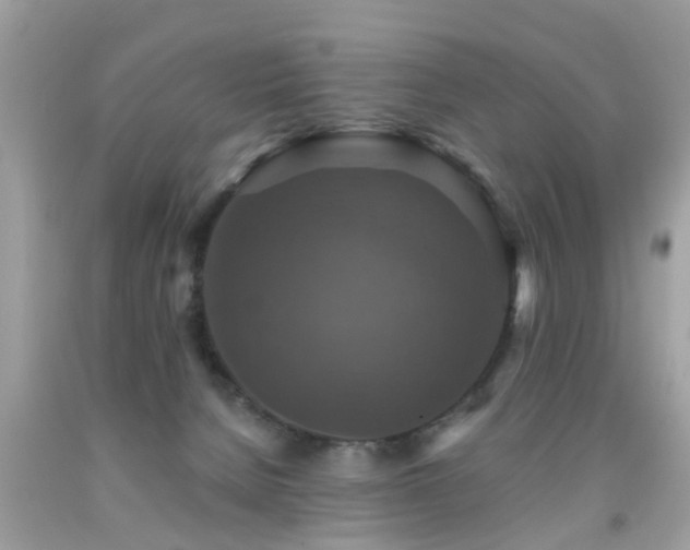 X0000091930080200709051510